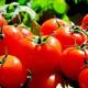 Mantén tus tomates frescos hasta por dos semanas con este truco viral
