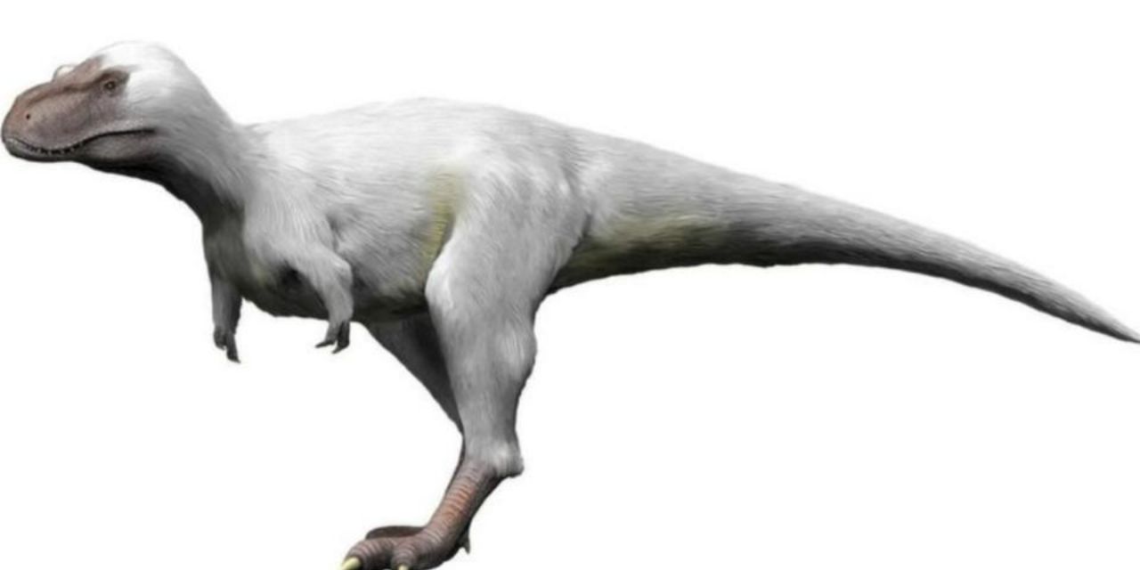 ¿Cómo eran los dinosaurios polares? | El Imparcial de Oaxaca