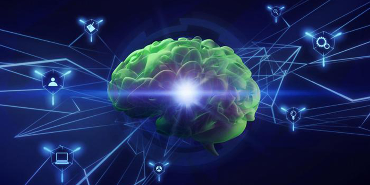 El cerebro humano podría funcionar como un ordenador cuántico