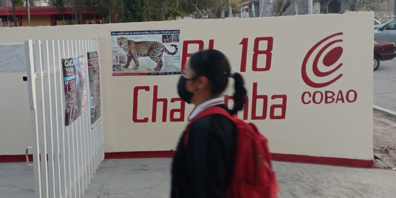 Cobao, Cecyteo, IEBO: cae matrícula, crece presupuesto | El Imparcial de Oaxaca