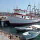 Urge rescatar al sector pesquero de Salina Cruz