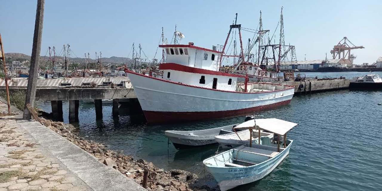 Urge rescatar al sector pesquero de Salina Cruz | El Imparcial de Oaxaca