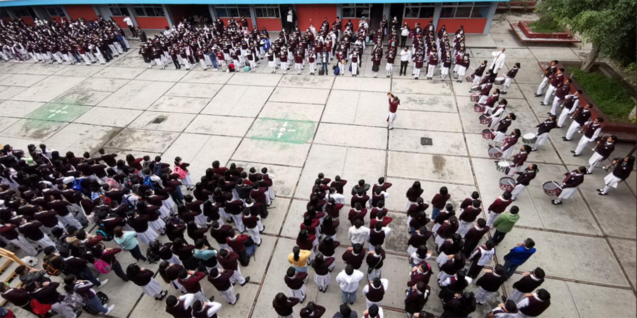 Por plaga de roedores, suspenden clases en EST-1  | El Imparcial de Oaxaca