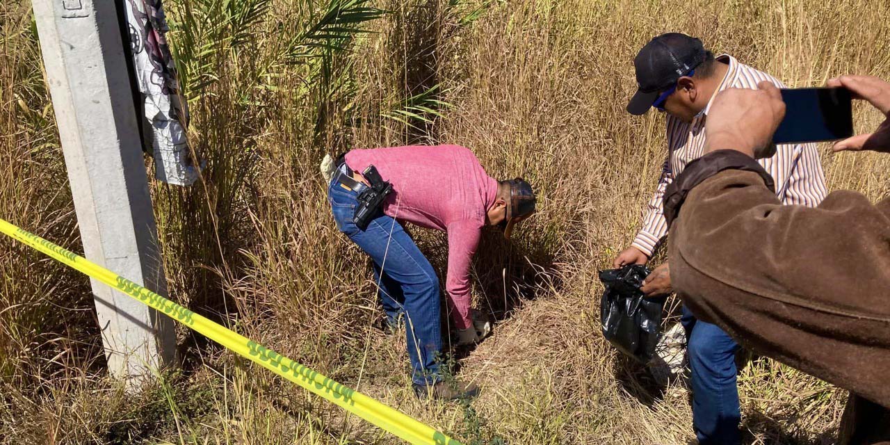 Localizan un cráneo humano en terreno de Zimatlán de Alvares | El Imparcial de Oaxaca