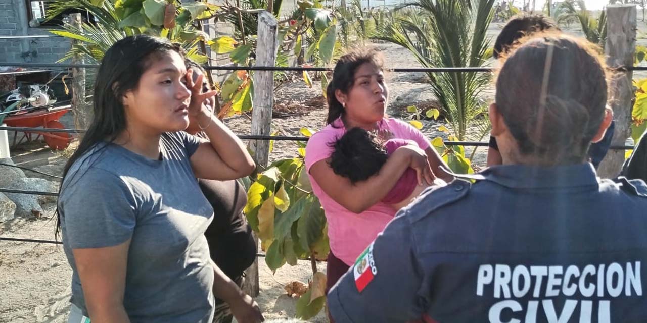 Abejas atacan a turistas en Playa Corralero | El Imparcial de Oaxaca