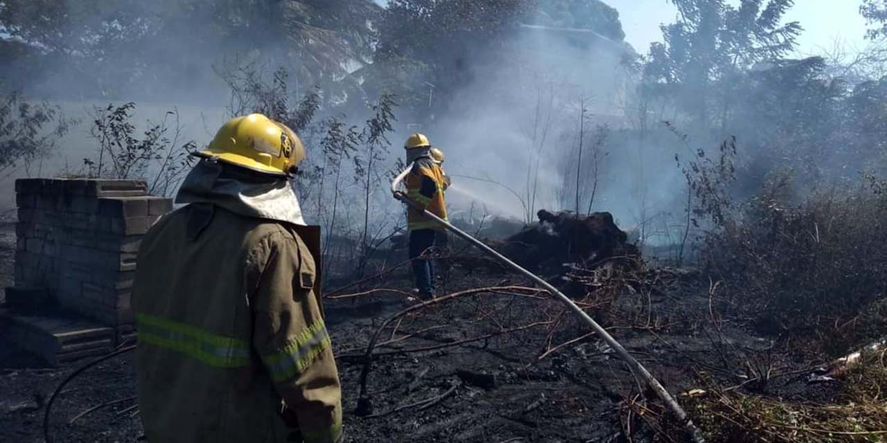 Podrían incrementar incendios forestales en Salina Cruz; alerta Protección Civil | El Imparcial de Oaxaca