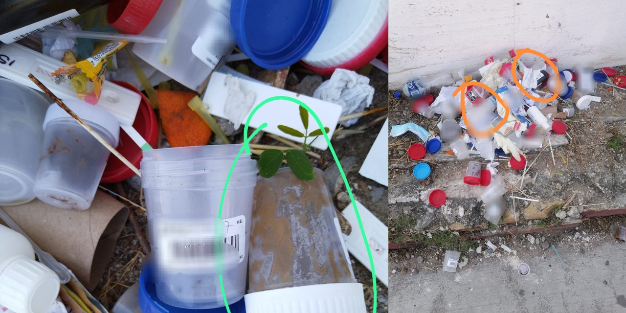 Tiran desechos bilógicos en la vía pública de Salina Cruz | El Imparcial de Oaxaca