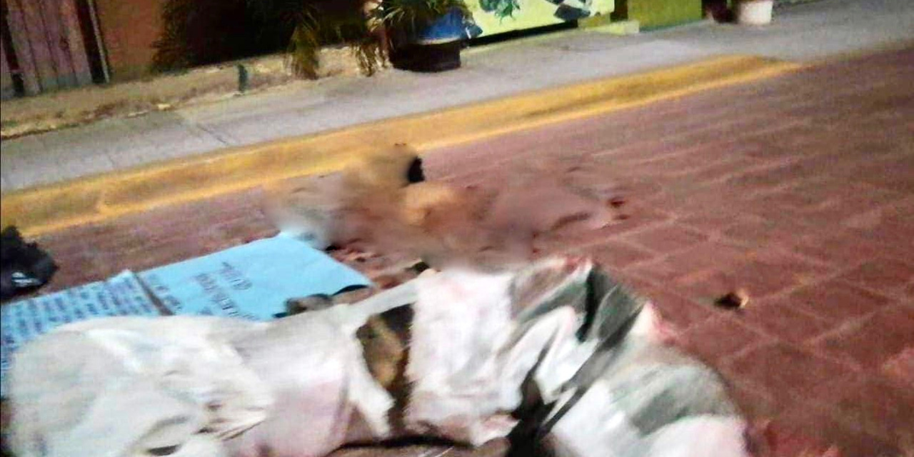 ¡Abominable hallazgo! Localizan cadáver de hombre descuartizado | El Imparcial de Oaxaca