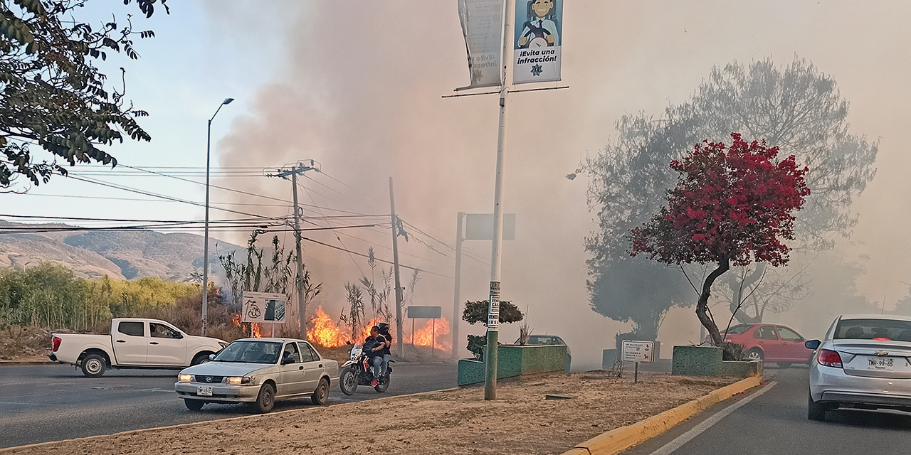 Al menos 11 incendios forestales han dañado 1,462 hectáreas en Oaxaca. Este lunes se registró la quema de pastizales y carrizo en la ExGarita, Xoxocotlán