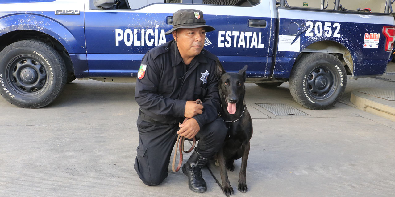 Tiene Oaxaca desde hace 21 años sus binomios caninos | El Imparcial de Oaxaca