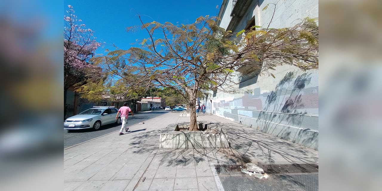 Fotos: Lisbeth Mejía Reyes / En las 10 jardineras ubicadas en la avenida se observan daños en la cantera.