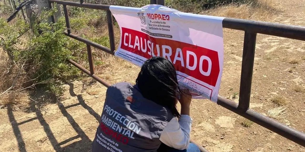 Clausuran mina clandestina ubicada en cerro La Llovizna | El Imparcial de Oaxaca