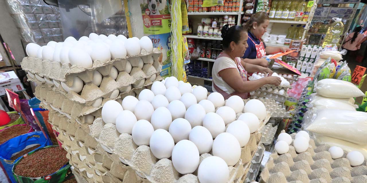 Fotos: Adrián Gaytán / Las bajas temperaturas y escasez del producto, encarecen el huevo