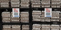 Foto: Luis Alberto Cruz / Registran nuevos aumentos en el precio del huevo