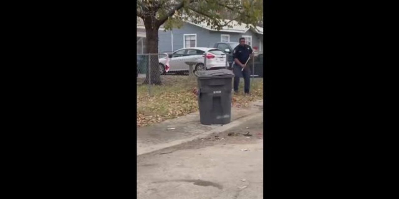 Video: Abuelitos son atacados por pitbull, uno de ellos muere