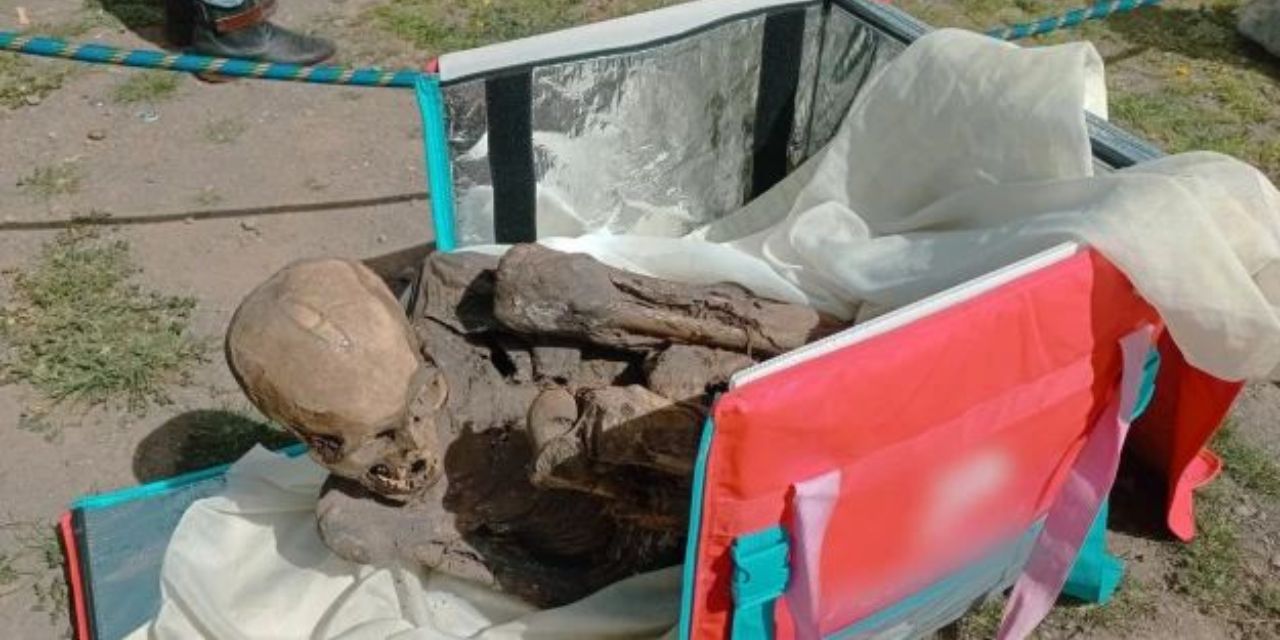Encuentran momia prehispánica en un bolso de delivery de comida | El Imparcial de Oaxaca