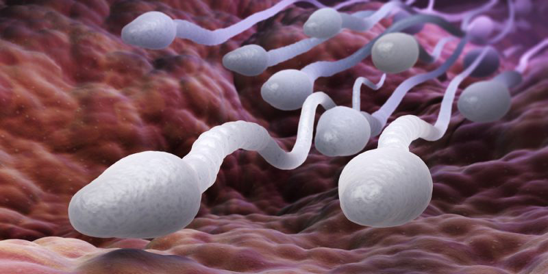 Inyección anticonceptiva ofrece resultados prometedores en ratones