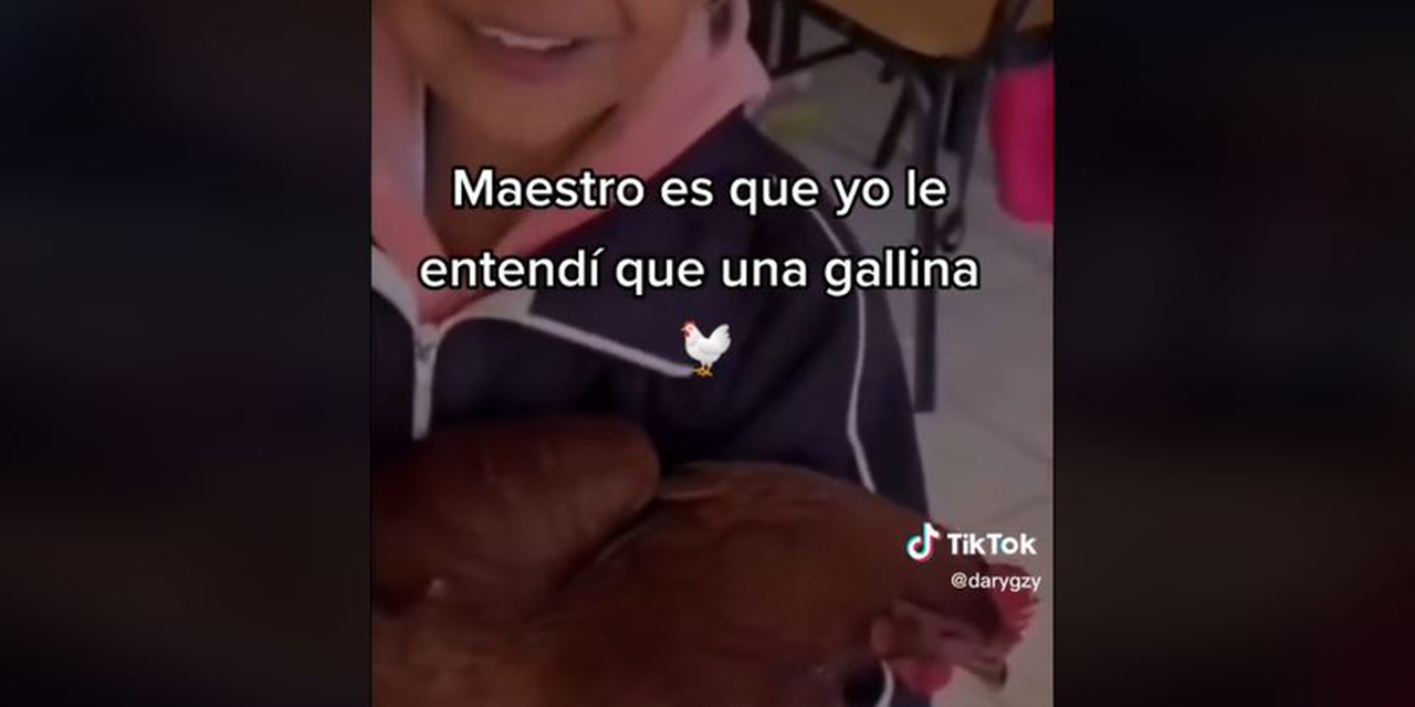 Viral: Niña lleva gallina a su escuela