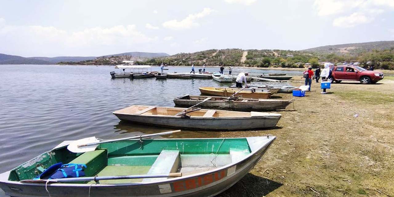 Buscan la acuacultura y la pesca en Huajuapan | El Imparcial de Oaxaca