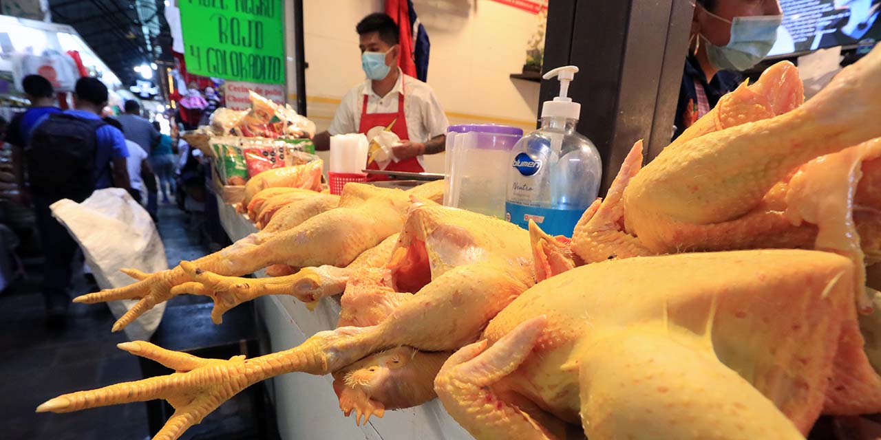 Foto: Adrián Gaytán / Vuelve a subir el precio del pollo
