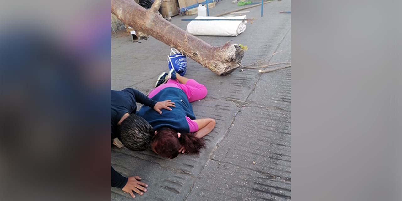 Mujer resulta lesionada al caerle un árbol | El Imparcial de Oaxaca