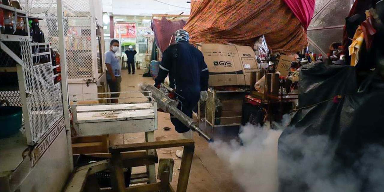 Solicitan locatarios fumigación profunda a mercado en Tehuantepec | El Imparcial de Oaxaca