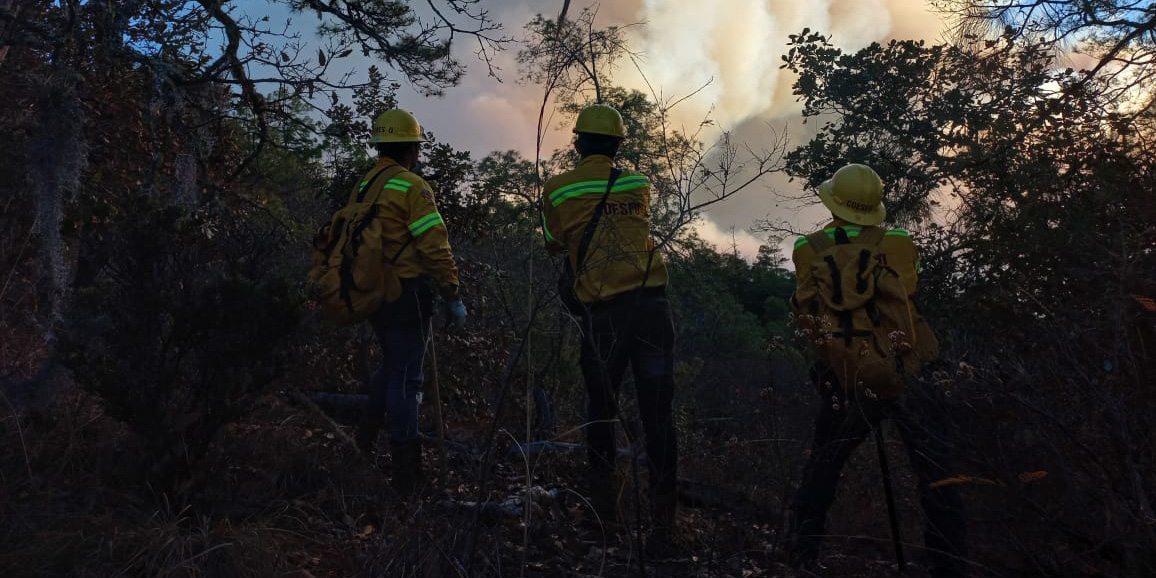 Incendio arrasa bosque de San Idelfonso Miahuatlán; el siniestro lleva ya dos días | El Imparcial de Oaxaca