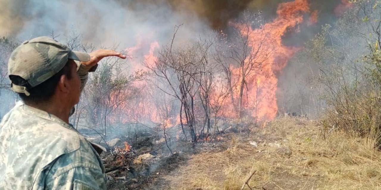 Activos, 5 incendios; 90% los causa la mano del hombre | El Imparcial de Oaxaca