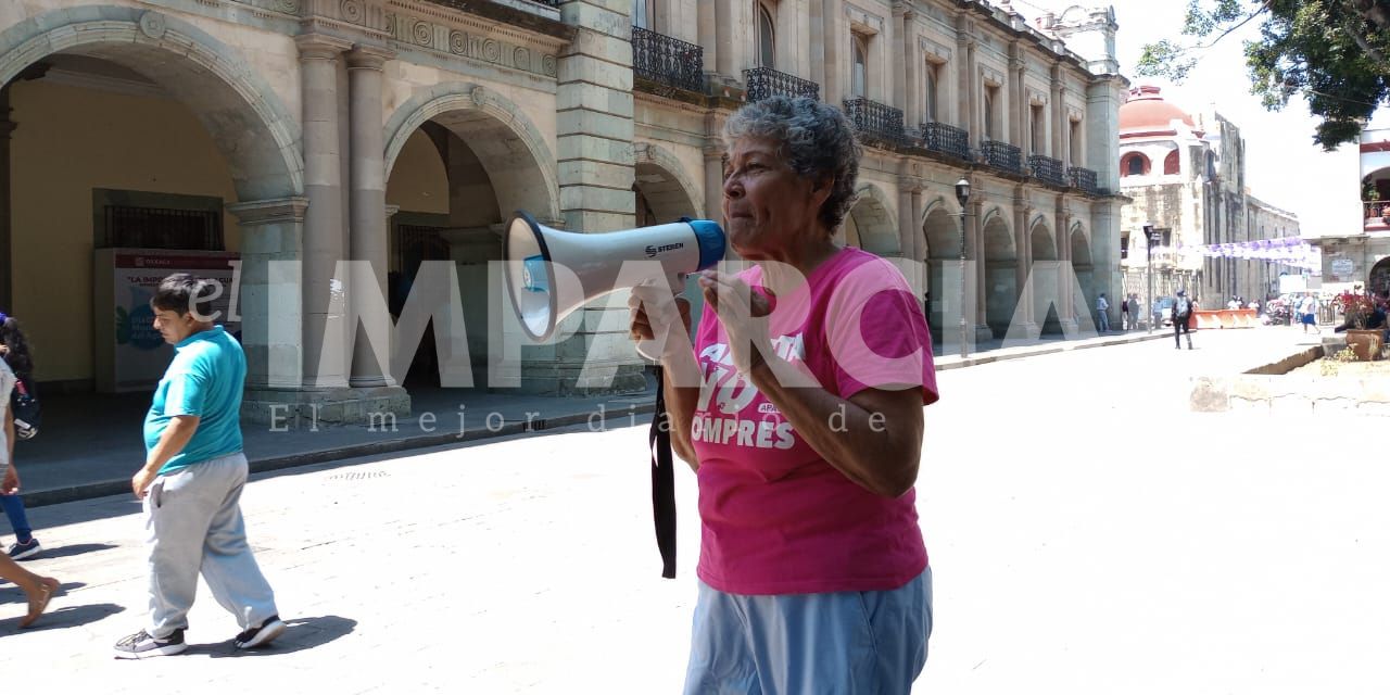 Exigen políticas públicas para lograr equilibrio poblacional de perros y gatos