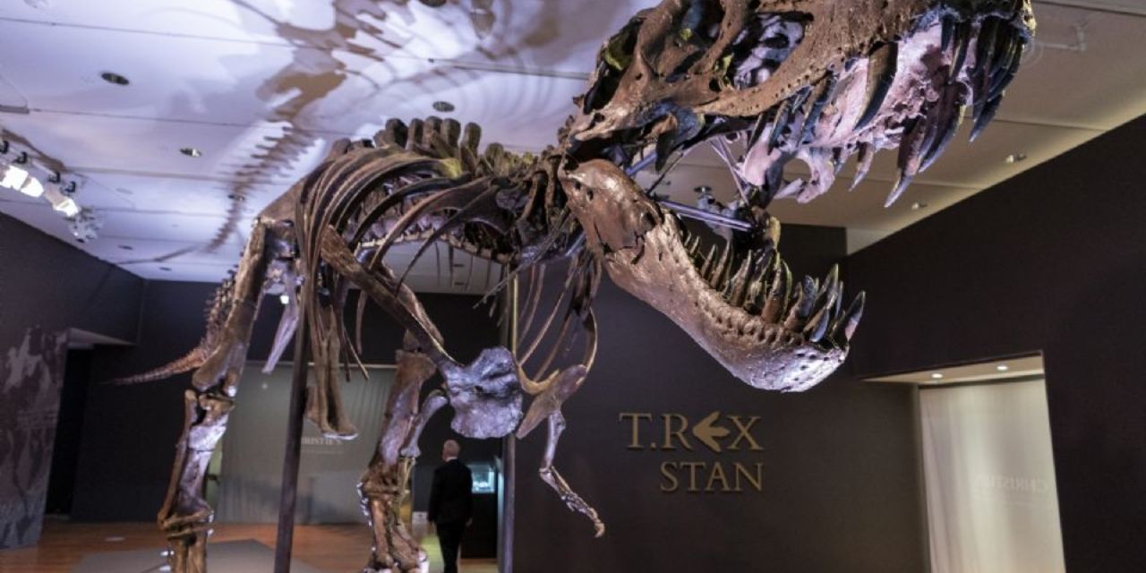 Nuevo estudio afirma que los T-rex tenían labios | El Imparcial de Oaxaca