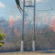 Voraz incendio arrasa con pastizales en Petapa