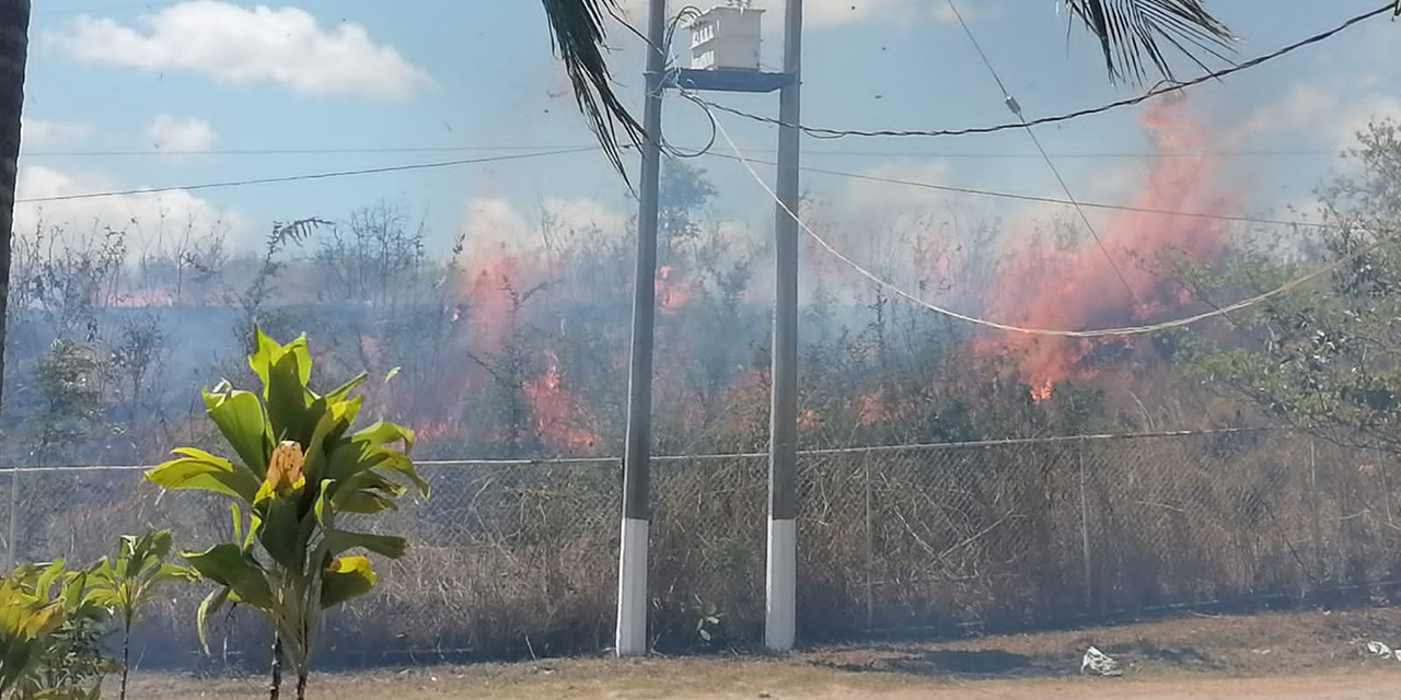 Voraz incendio arrasa con pastizales en Petapa | El Imparcial de Oaxaca