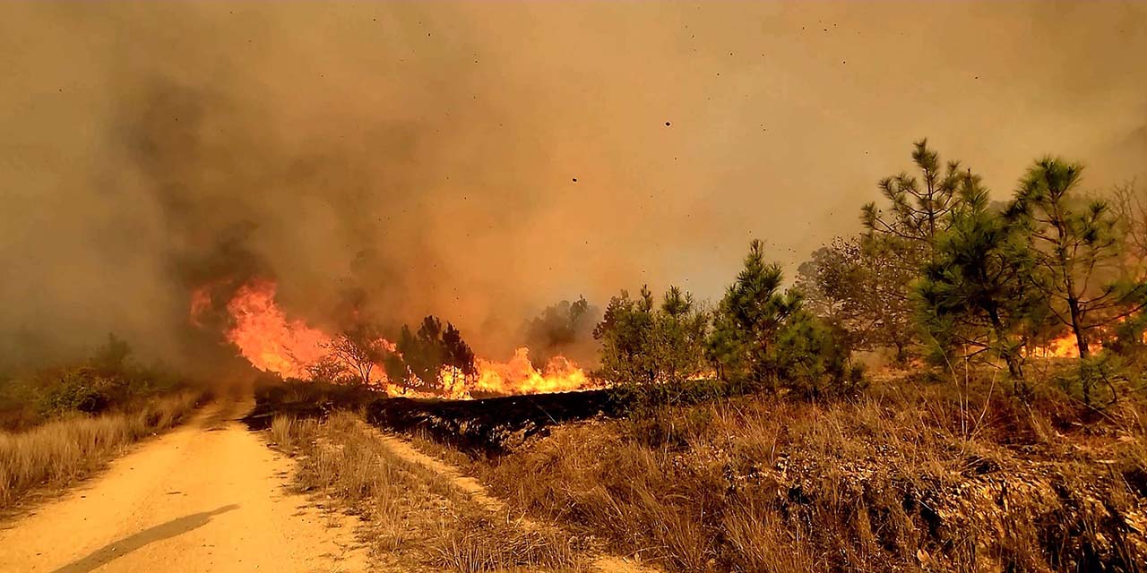Por inseguridad, brigadistas se retiran del Incendio en bosque de San Juan Mixtepec | El Imparcial de Oaxaca