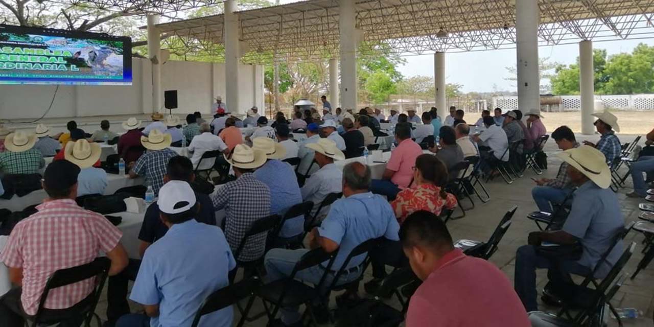 Exitosa asamblea anual ganadera en Pinotepa | El Imparcial de Oaxaca