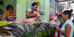 Fotos: Adrián Gaytán / Durante la temporada de Cuaresma, aumentan los precios de mariscos y pescado.