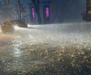 Deja tormenta árboles caídos, apagones y encharcamientos