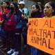 Impunidad y omisión imperan ante maltrato animal en Oaxaca