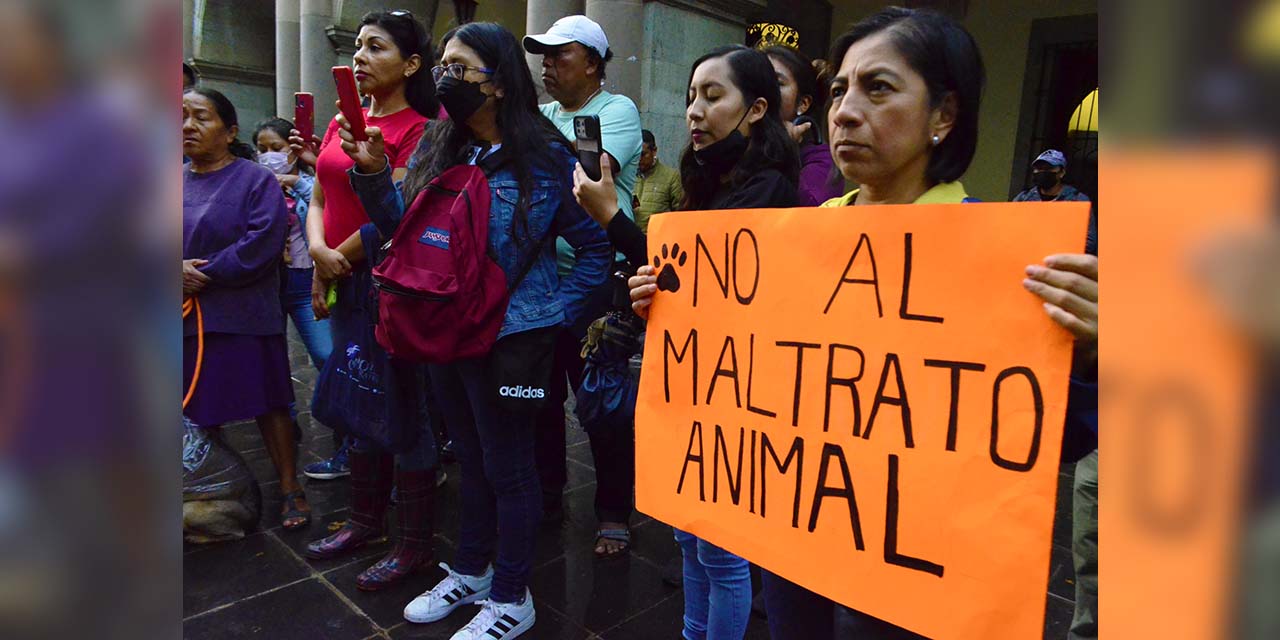 Foto: Adrián Gaytán / La protesta de activistas defensores de los derechos de animales.