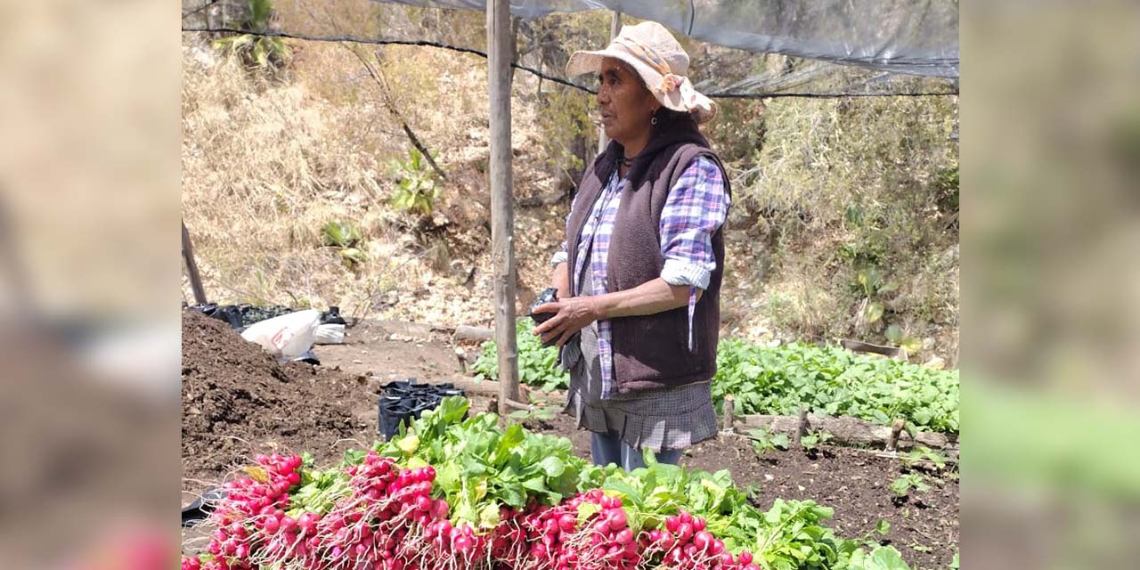 Anuncian productores tianguis comunitario en Cuicatlán | El Imparcial de Oaxaca