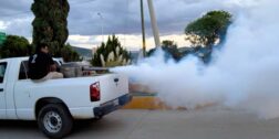 Trabajadores de Vectores combaten el mosquito Aedes Aegypti, en regiones de la entidad