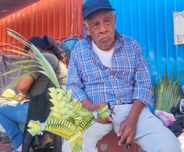 Escasez de palma en la Mixteca a causa de sequía, revelan artesanos oaxaqueños