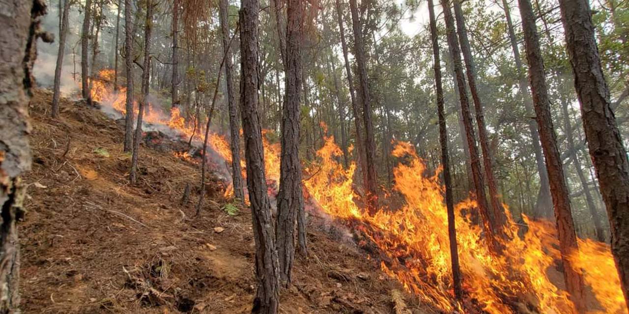 Incontrolable incendio en bosque de San Juan Mixtepec; lleva nueve días | El Imparcial de Oaxaca