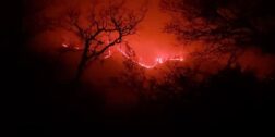 Fotos: Cortesía / Un incendio fuera de control arrasa con los bosques de Santo Tomás Mazaltepec.