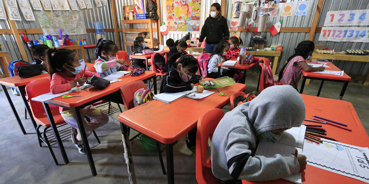 El 20% de niños indígenas, sin derecho a la educación | El Imparcial de Oaxaca