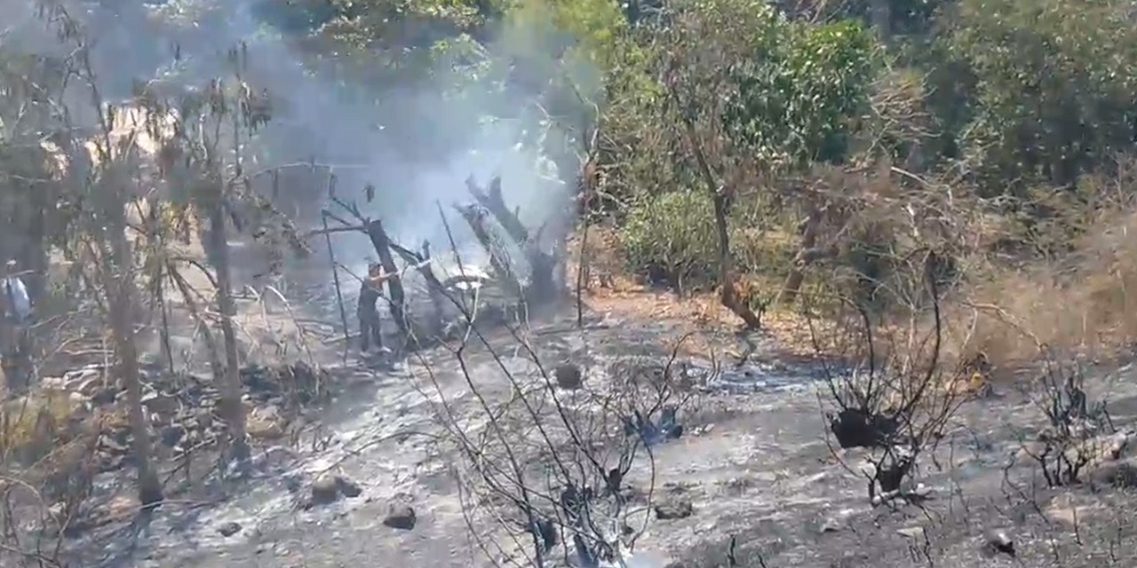 Voraz incendio causa temor entre vecinos de Tehuantepec | El Imparcial de Oaxaca