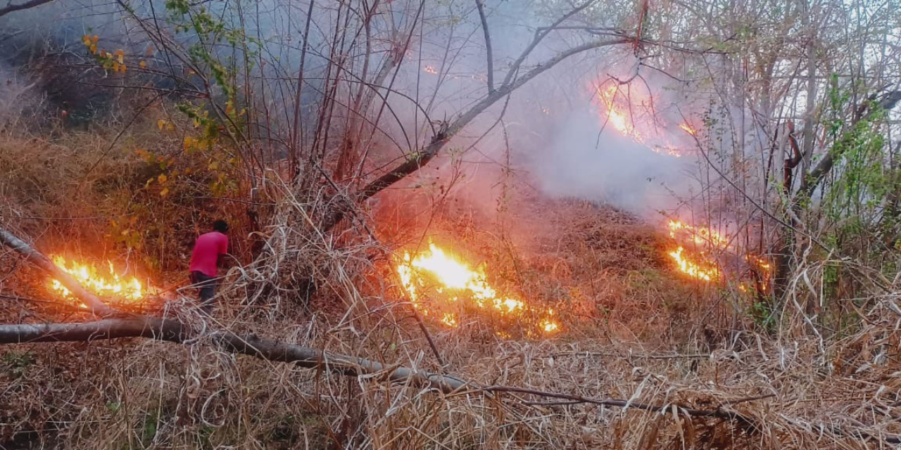 Fuerte incendio en Pochutla arrasa con 150 hectáreas | El Imparcial de Oaxaca