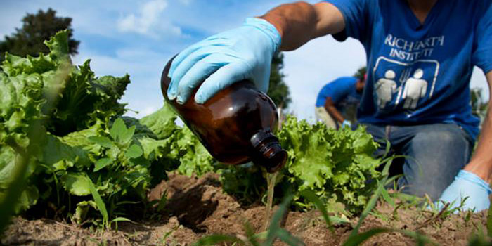¿Se puede reciclar excremento para cultivar alimentos de manera sostenible? | El Imparcial de Oaxaca