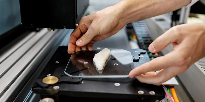 “Imprimen” el primer filete de pescado mediante impresión 3D