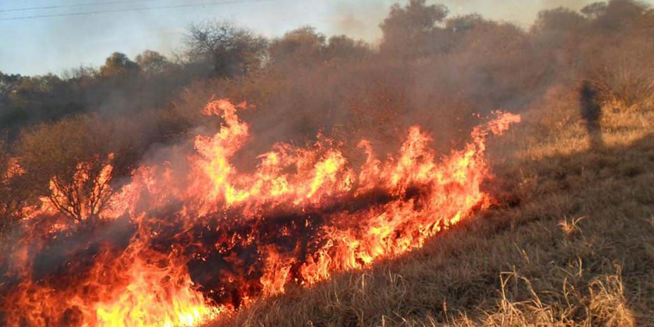 Muere al quedar atrapado en quema de pastizal en la Costa | El Imparcial de Oaxaca