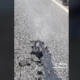 No es en Puebla, es en Ecuador video de la carretera derritiéndose